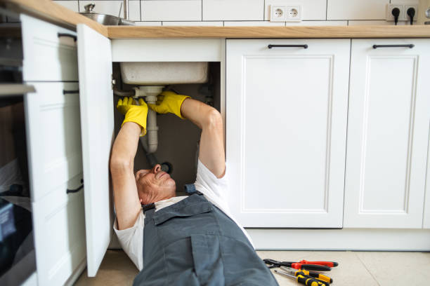 Best Water Softener Installation  in Tice, FL