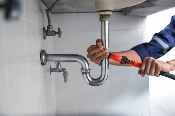 Best Residential Plumbing Services  in Tice, FL