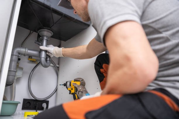 Best Affordable Plumber Near Me  in Tice, FL